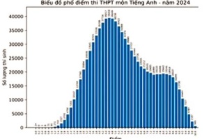 Phổ điểm môn Anh 2024 thi tốt nghiệp THPT